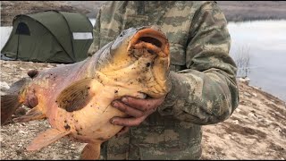 İnanilmaz Sazan Avi. Önce Ben Balığı Çektim Sonra Balık Beni Çekti. Big Carp Hunt.the Fish Pulled Me