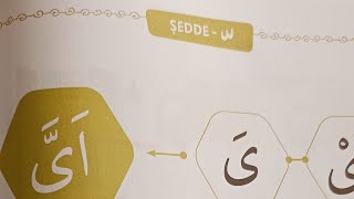 1-Şedde Dersi Alıştırmaları