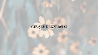 Açık Kaynak - Gevşeme Egzersizi - Ses Kaydı