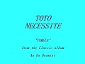 TOTO NECESSITE - PAMELA (with your ugly self)