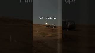 Moon Is Always Fascinating