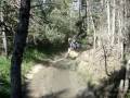 quad dans la boue