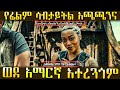 እንዴት የፊልም ሳብታይትል ጭነን ወደ አማርኛ እንተረጉማለን? - Download and Translate movie subtitle in amharic | PekaTech