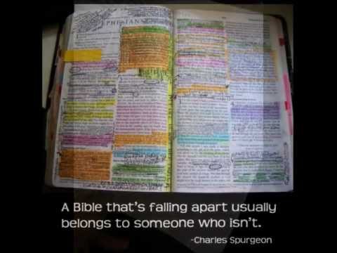 She Gotta Bible Video