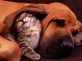 Extreme Joy & Happiness- Living in... - For Your Sweetheart ecards - Love Greeting Cards Extreme Joy & Happiness- Living in... - For Your Sweetheart ecards - Love Greeting Cards