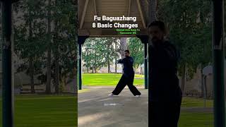 Master The 8 Essential Changes Of Fu Baguazhang