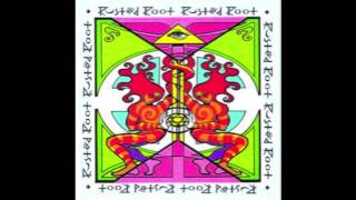 Watch Rusted Root Live A Long Time video