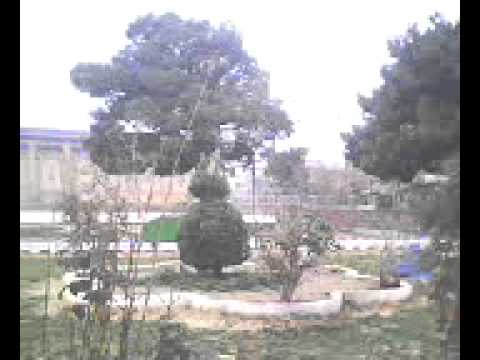 Hirat City