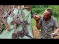 Bushwalkers catch geckos Forest lizards and delicious geckos