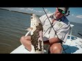 BP oil disaster