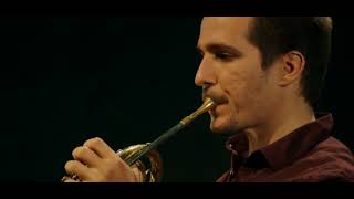 F. Rebay - Serenade for flute, horn and two guitars - 2. Minuet, Trio