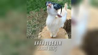 Serdar Ortaç - Karabiberim(speed song)