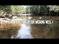 Metal Detecting in the wishing well !