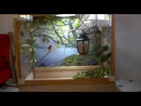 My Indoor Aviary - YouTube