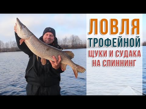 все о рыбалке лов щуки все о рыбалке лов щуки