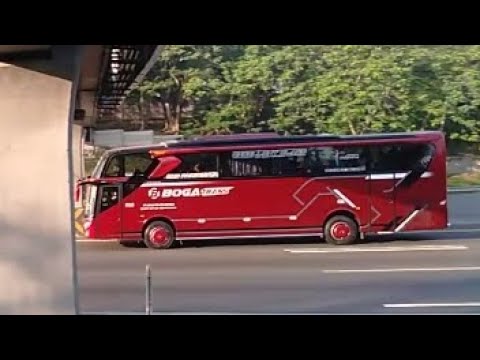 HUNTING ANGKATAN PAGI ‼️ RAME BUS PARIWISATA DI RUAS TOL JAKARTA CIKAMPEK