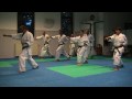 Ippon Karate Frankfurt images Ippon Karate Frankfurt