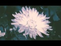 Slow