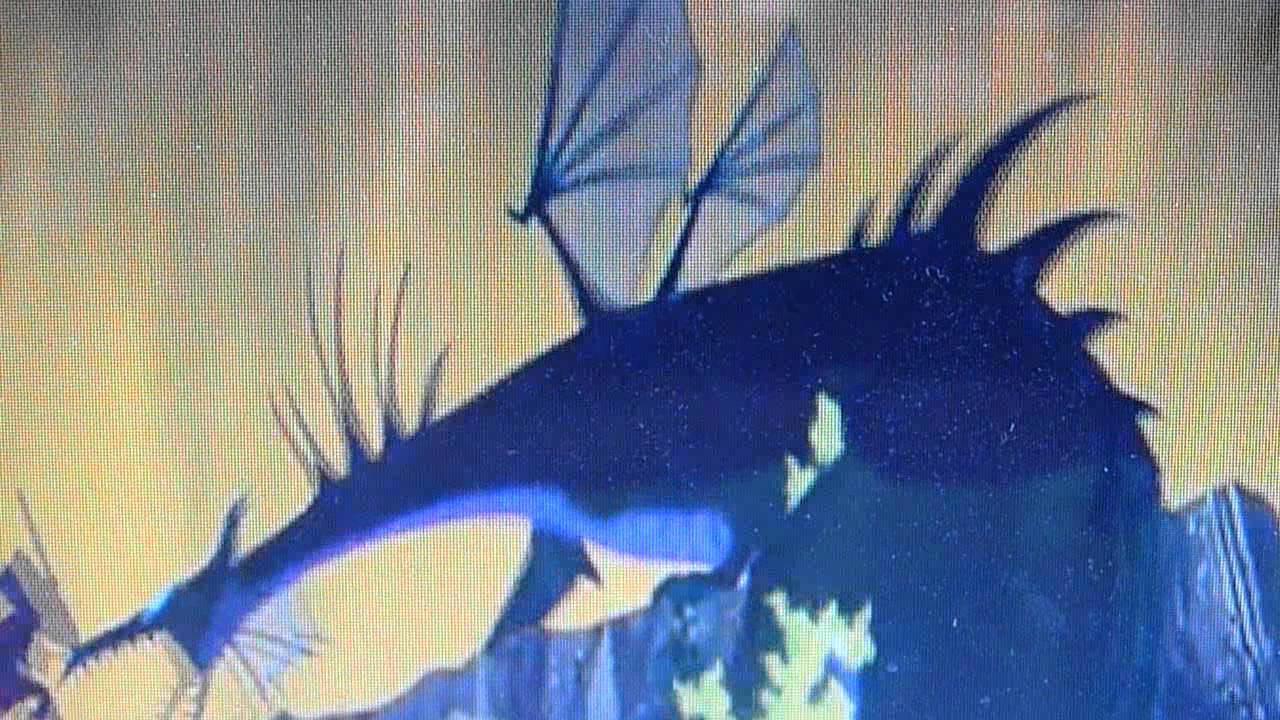 maleficent dragon battle maleficent dragon battle