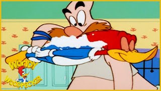 Woody Woodpecker Show Sleepwalking Woody Full Episode Cartoons For Children