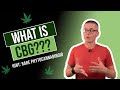 CBG Explained: The Mother Of All Cannabinoids