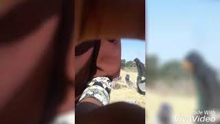 Liburan Di Sawah Pertama Kali Eh Malah Gatal2