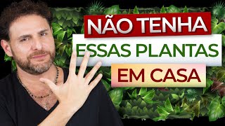5 PLANTAS QUE PREJUDICAM SUA CASA E COMÉRCIO | Daniel Atalla