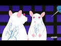 SCIENTIFICALLY ACCURATE™ PINKY AND THE BRAIN
