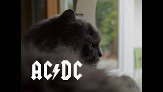 Watch AC DC Tnt video