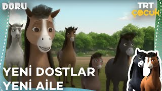 DORU | YENİ DOSTLAR YENİ AİLE