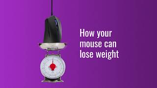How Does A Mouse Lose Weight?