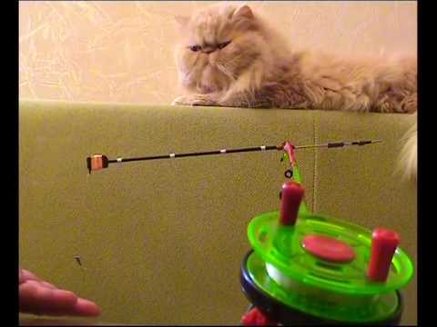 сделаем сами и ловим сами сделаем сами и ловим сами