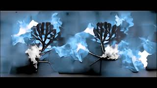 Watch Jack White A Tree On Fire From Within video