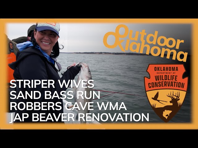 Watch Outdoor Oklahoma 4834 (Striper Wives, Sand Bass Run, Robbers Cave WMA) on YouTube.