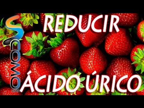 El Acido Urico El Acido Urico