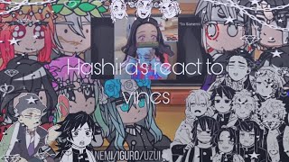 Hashiras Reacts To Vines Repost
