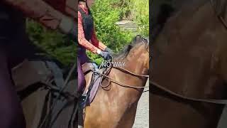 Things Ill Never Do When Riding