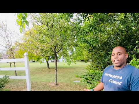 Highlighting Local Issues in Spring Farms