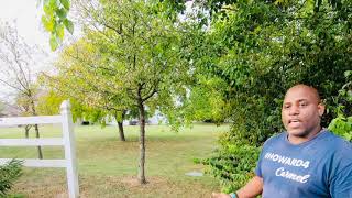 Highlighting Local Issues in Spring Farms