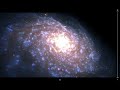 stars