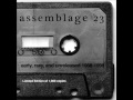 Assemblage 23 - Chemical Restraint (lyrics)