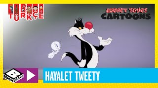 SEVİMLİ KAHRAMANLAR HİKAYELER | Hayalet Tweety | Boomerang TV Türkiye