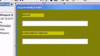 Function Trim , Ltrim , Rtrim In Vba 6 0