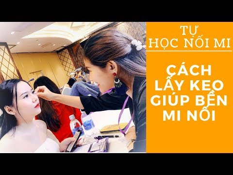 Học Nối Mi | Keo Nối Mi - Phương Pháp Lấy Giúp Bền Mi Nối (Hay)