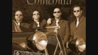 Watch Chinchilla The Ripper video