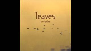Watch Leaves Silence video