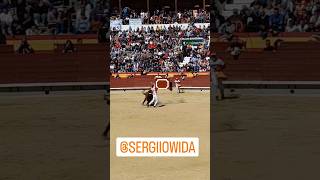 Quiebro Sergio Wida Vacon Toro Bravos Arriazu Castellón #Shorts