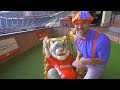 Blippi at the Baseball Stadium | Sports and Outdoor Activities for Kids