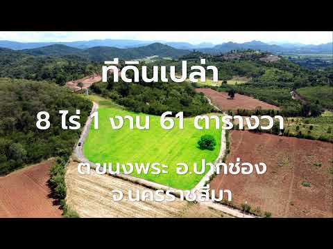 ที่ดินเขาใหญ่ ขนงพระ 8 ไร่ 1 งาน 61 ตรว. วิวเขา ราคาพิเศษ