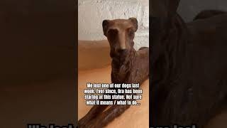 Snoot Mystery.